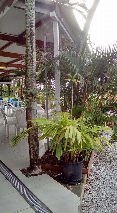 Hôtel Des Amandiers Cayenne Extérieur photo