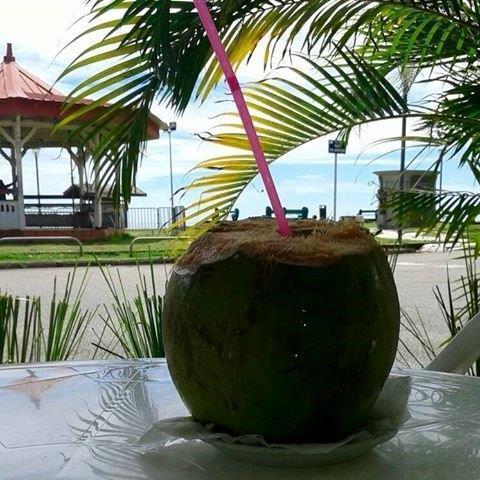 Hôtel Des Amandiers Cayenne Extérieur photo