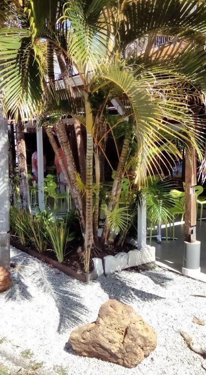 Hôtel Des Amandiers Cayenne Extérieur photo